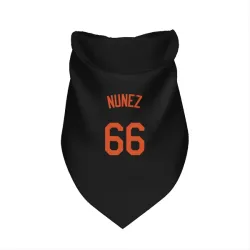 Baltimore Orioles Anthony Nunez Black Pet Bandana for Dog & Cat