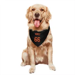 Baltimore Orioles Anthony Nunez Black Pet Bandana for Dog & Cat