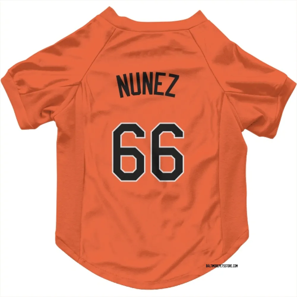Baltimore Orioles Anthony Nunez Orange Pet Jersey for Dog & Cat