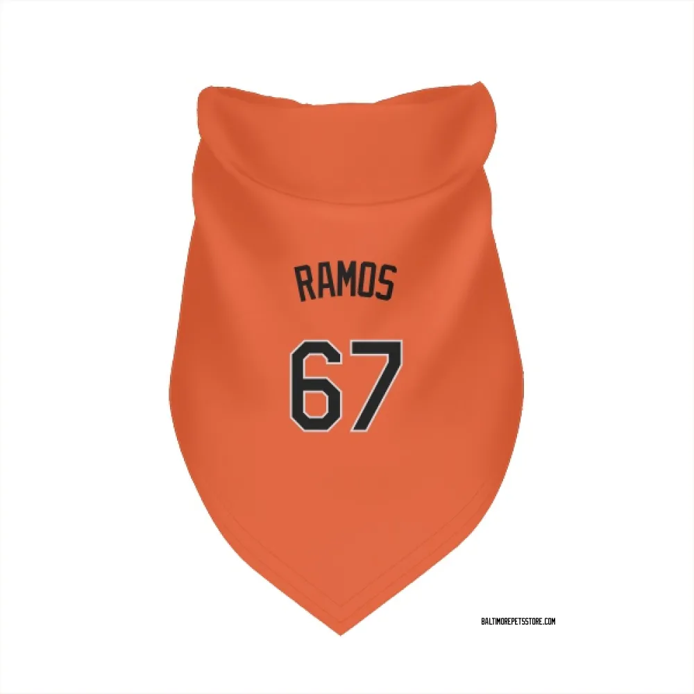 Baltimore Orioles Bryan Ramos Orange Pet Bandana for Dog & Cat