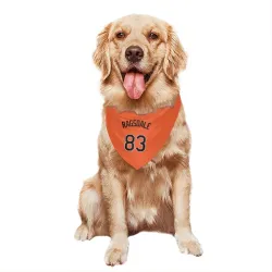 Baltimore Orioles Carson Ragsdale Orange Pet Bandana for Dog & Cat