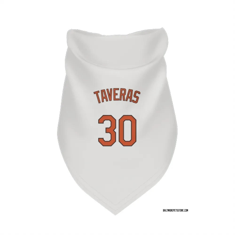 Baltimore Orioles Leody Taveras White Pet Bandana for Dog & Cat