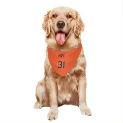 Baltimore Orioles Sam Huff Orange Pet Bandana for Dog & Cat