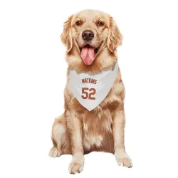 Baltimore Orioles Spenser Watkins White Pet Bandana for Dog & Cat