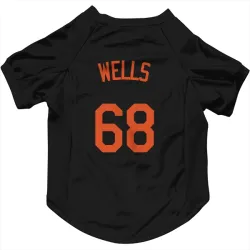 Baltimore Orioles Tyler Wells Black Pet Jersey for Dog & Cat
